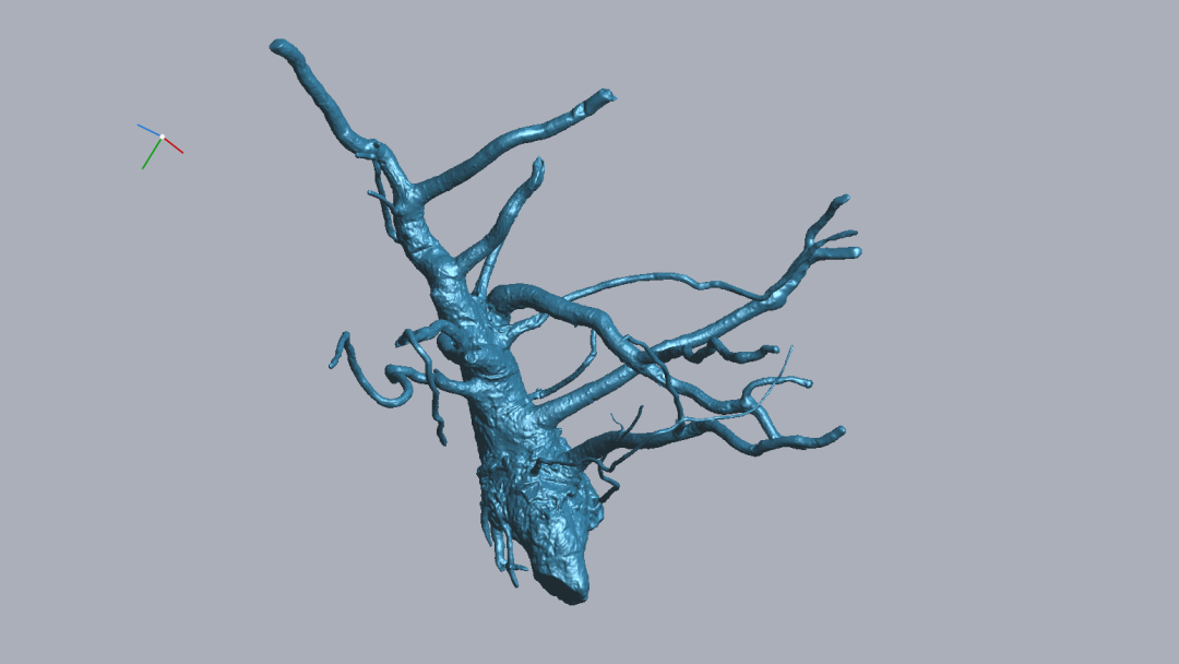 RigelScan三維激光掃描儀應(yīng)用于植物3D數(shù)據(jù)采集建模和存檔分析