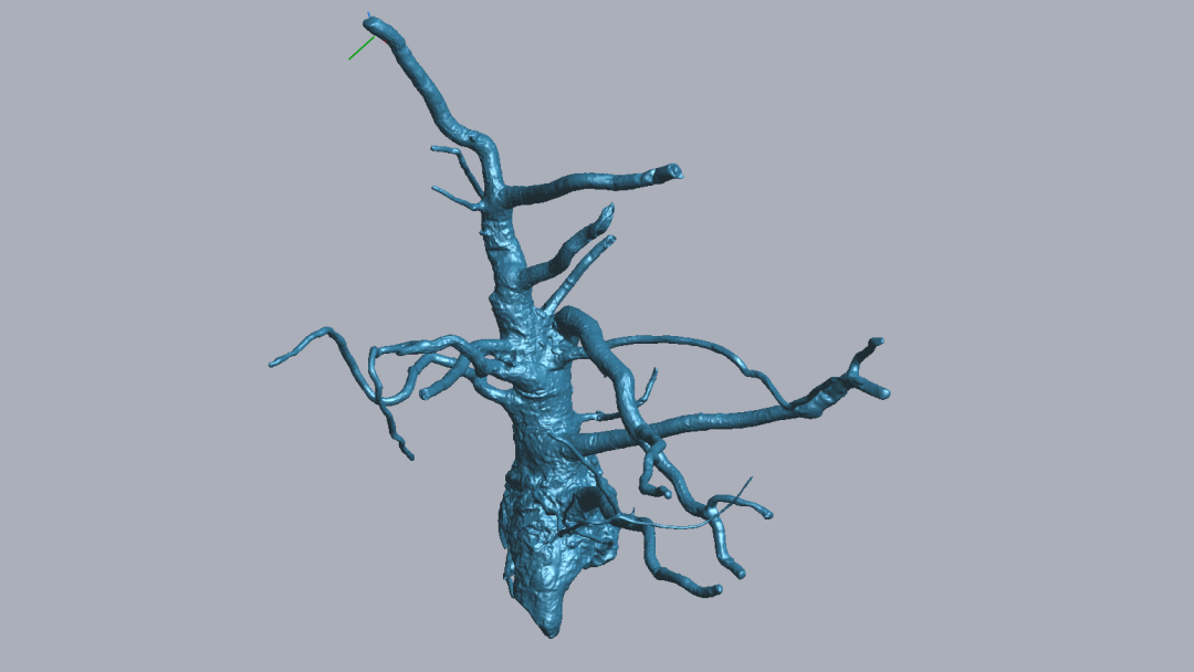 RigelScan三維激光掃描儀應(yīng)用于植物3D數(shù)據(jù)采集建模和存檔分析